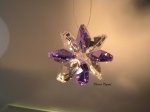 Purple Flower- CC Art 1054