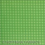 Born to Be Wild Lime SKU# 8708 2071