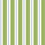 Children at Play Racer Stripes Green SKU# DC5163-GREE-D