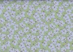 Amy Butler Gypsy Caravan Wind Flowers Cat Eye PWAB086