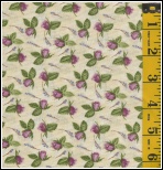 2485 Bella Rose by RJR