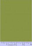 Centennial Solids - sage  (120416)