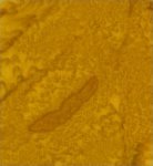 Kota Batik 41000/24 Goldenrod