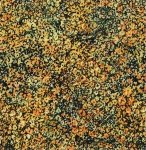 Kashmir by Jinny Beyer - golds, greens