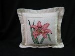 Coral Daylily- CD 212
