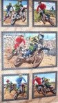 South Sea Imports - X-treme Biking Panel
