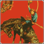 Hunky Tonk Bronco on Red