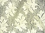 Lace Sheer Embroidered Floral Leaf Lace Ivory Curtain Fabric Drapery Fabric LDSO506