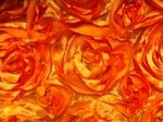 Satin Rose Flower Applique Apparel Fabric Event Fabric Orange Gold Sunset KOS004