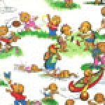 Welcome to Bear Country Jelly Roll by The Berensteins for Moda