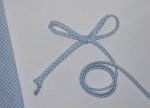 Spaghetti Bias Tubing - Lt. Blue Check