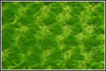 Rose Cuddle Dark Lime - DR8090