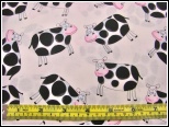 Cows - C5586