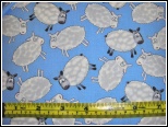 Sheep - C5587