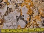 Petpourri Cats - 1253