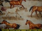 Horses - C5622