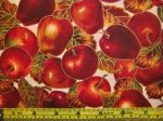 Nature Apple Harvest - CM5513