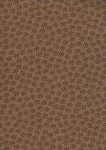 Bright Owl Stars Brown - C8371Br