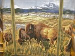 Bison Range Wall Panel Buffalo 