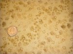 Wilderness Park Foot Prints - 28034-222