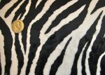 Zebra Minky