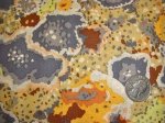 Lichen Ochre