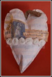 Love Token Kit  by Katrina