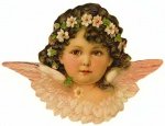 Angels above Us package