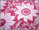 Charm D1204