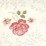 Clermont Farms 14681-15