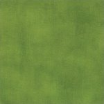 A Stitch in Color 23210-13