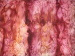 Bali Handpaints Batiks
