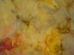 Princess Mirah Design Batiks