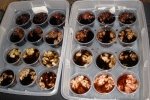 Skin Tones Hand Dye Kit