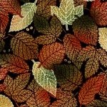In the Beginning Fabrics Hallowgraphix Leaves Peering Animal Eye