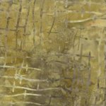 42050-19 Indian Summer Foliage