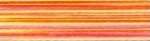 9914 Neon Brights Variegated Isacord Thread