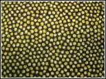 Sparkle- Pitch PWAB076