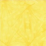 Flora Feathers #25055 c21 Sunflower