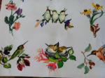 Great Notions Hummingbirds