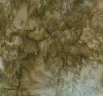 4124-23 Reflections II Batiks Earth