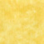 9881-17 Moda Marbles Amber