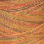 V38-821 Variegated Star Thread Fall Leaves