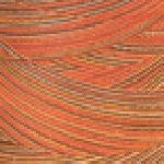V38-880 Variegated Star Thread Autumn