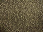 Poppy Spot