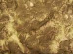 Hoffman Fabrics