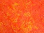 Island Batik, Inc - Batik
