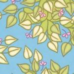 11401-14 *Soiree* Arbor Vine Aqua