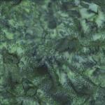 1895-225(12/11)  *Bali Watercolor Batik*  Rosemary