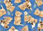 20929-B  * Popcorn the Bear *  Popcorn the Bear on Blue Background